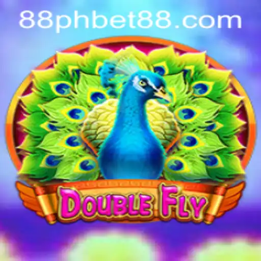 Exploring DoubleFly: A New Era of Interactive Gaming
